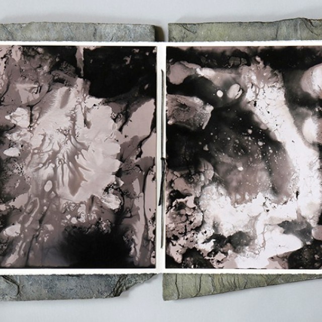 natural-alchemy-book-chemigram