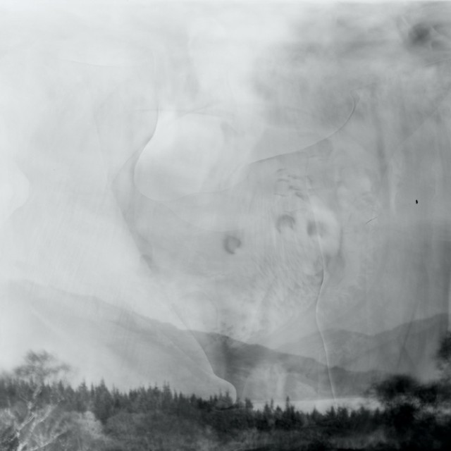 photograph-cyanotypes-hills-and-trees
