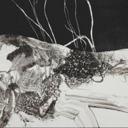 An image from instagram