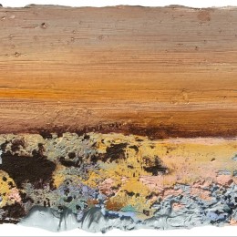 An image from instagram