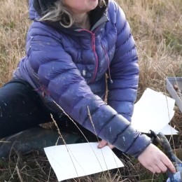 An image from instagram