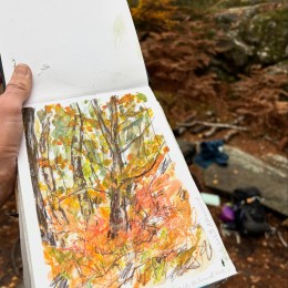 An image from instagram