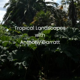 An image from instagram