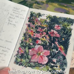 An image from instagram